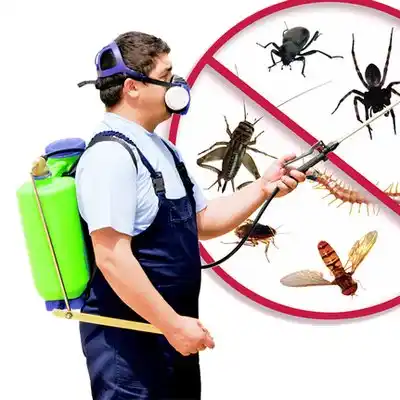 pest control Waynesburg